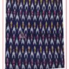Ikat Fabric