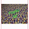 Poplin Printed